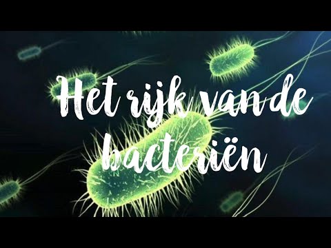 Video: Bacteriën Doden Vakantiegangers - Alternatieve Mening