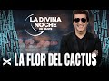 La Flor del Cactus - La Divina Noche de Dante Gebel