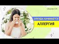 ОТКУДА НАЧИНАЕТСЯ АЛЛЕРГИЯ. [Шишова О.И.]