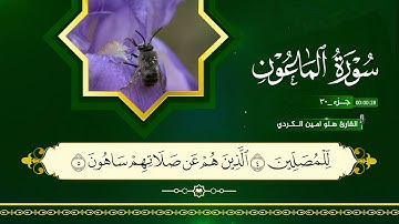 القران الكريم ١٠٧  سورة الماعون بصوت القارئ هلو امين الكردي 2025