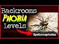 The backrooms phobia