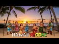 Hawaii Reggae Vibes 🌺 Tropical Island Grooves for Relaxation, Joy & Sunny Fun