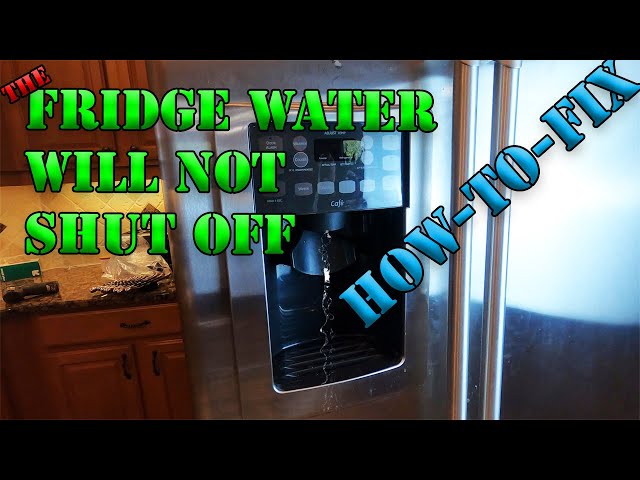 Why Won't My Frigidaire Water Dispenser Shut Off: Solutions