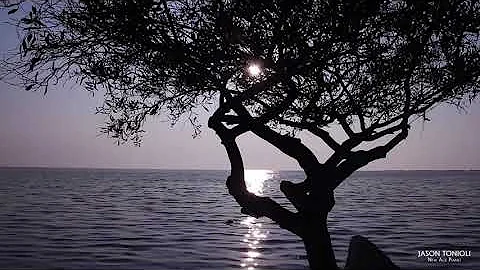 Beautiful & Relaxing Piano Music - Over 90 Minutes...