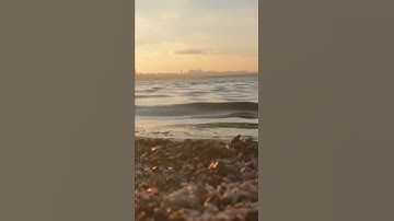 آيات من سورة عبس