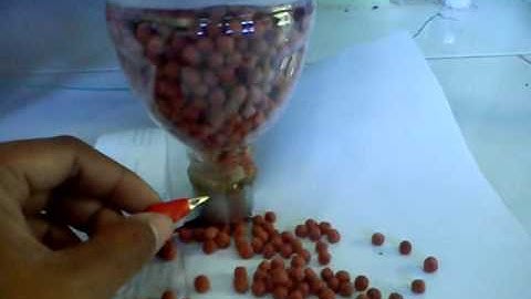 Home Made Automatic Fish Feeder