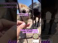 #FoundCoin #LuckyFind #TreasureHunt #StreetTreasure #HiddenMoney #CoinTok #