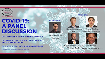 Modeling COVID-19: A Panel Discussion