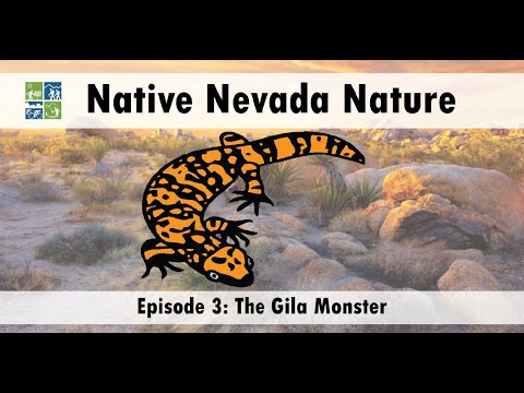 Native Nevada Nature Ep 3: The Gila Monster