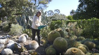 Children's tour of the Ruth Bancroft Garden with Marie Gelin