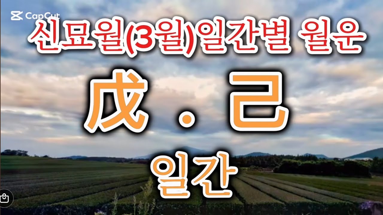 신묘월(3월)일간별월운. 무토.기토일간