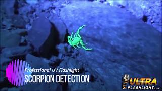 UV Flashlight Ultra Violet Light With Zoom Function Black Light Pet Urine Stains Detector Scorpion