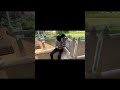 Tapovan temple #music #song #manorathjiv