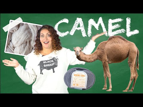 What is Camel Yarn? 🐫 - Yarn University #7