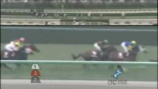 2011年　第59回阪神大賞典(GⅡ)   ナムラクレセント