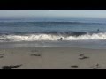 Relaxing 3 hour of california ocean waves