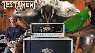 Capturing Eric Peterson&#39;s Brotherhood of the Snake Guitar Tone - EVH5150iii