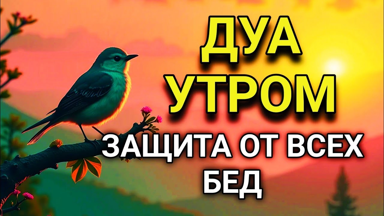 СИЛЬНЕЙШЕЕ ДУА УТРОМ ОТ ВСЕХ БЕД  🤲🌹🌈