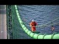 C.R.A.P.: Mackinac Bridge Cable Light Change