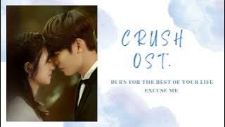 𝐂𝐑𝐔𝐒𝐇 𝐎𝐒𝐓. (原来我很爱你) - ℬ𝓊𝓇𝓃 ℱℴ𝓇 𝒯𝒽ℯ ℛℯ𝓈𝓉 𝒪𝒻 𝒴ℴ𝓊𝓇 ℒ𝒾𝒻ℯ | 燃烧吧余生 -  Excuse Me | 打扰一下乐团