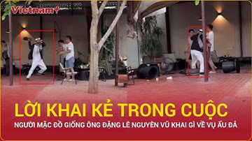 Người mặc đồ giống ông Đặng Lê Nguyên Vũ khai gì về vụ ẩu đả | Vietnam Plus