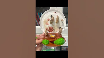 Grow Your Own Butterflies No Way Shorts Kidsvideos 