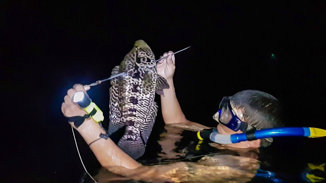 Pesca Con Arpon Por Primera Vez En Un Lago 