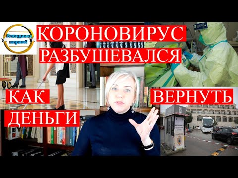 Как вернуть деньги от тур фирмы | 151 Блондинка вправе