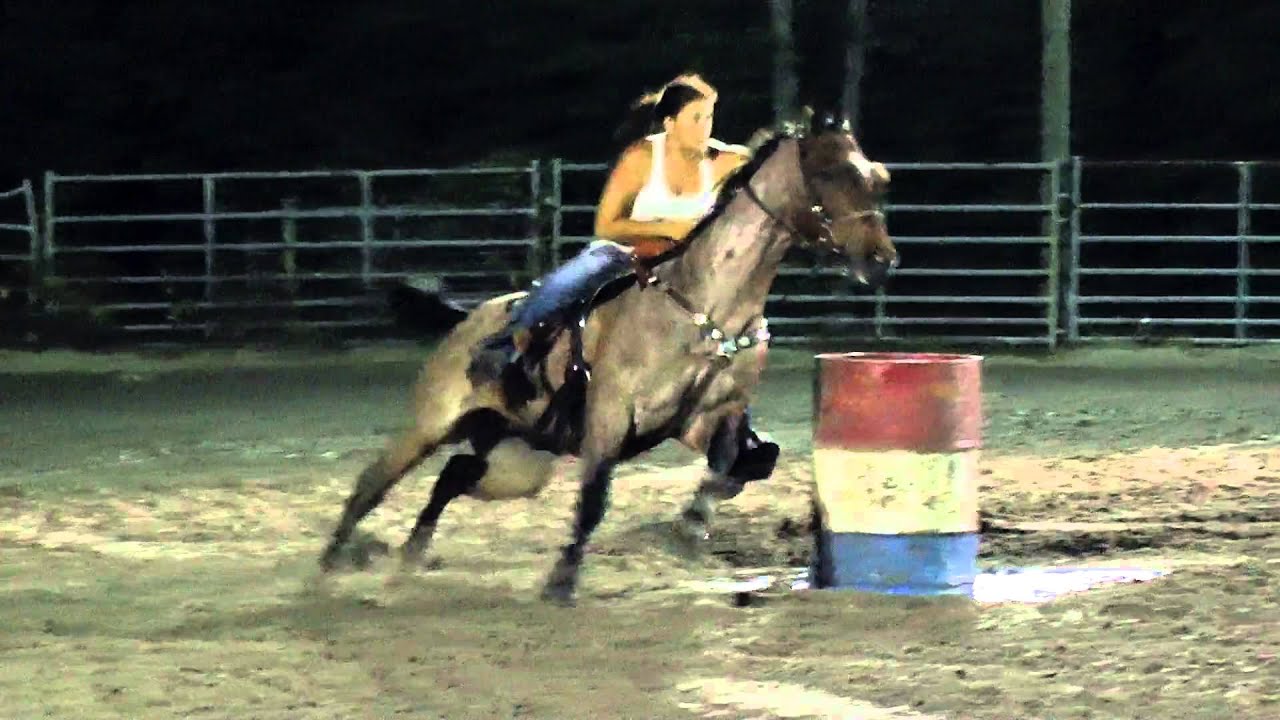 Bailey + Doc   Open   NBHA FL09   King Palm Ranch   30 May 2015