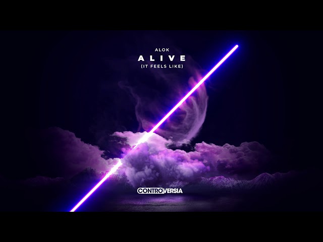 Alok - Alive 62