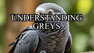 The Hidden Language of African Grey Parrots