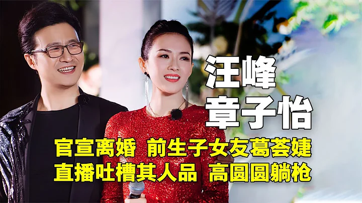 汪峰章子怡官宣离婚！是辜负还是背叛？前女友葛荟婕直播谈其人品 - 天天要闻