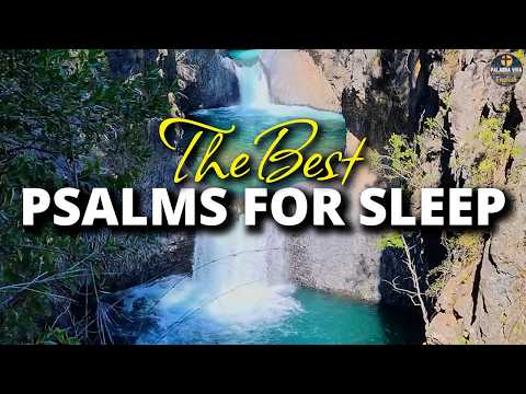 The Best Psalms to Sleep | Soothing Bible Reading | Audio Bible
