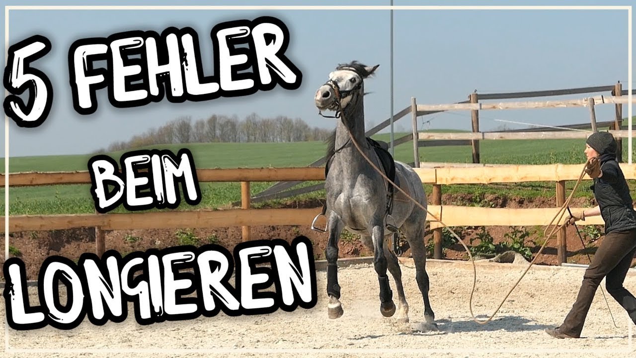 5 Fehler die du beim Longieren machst