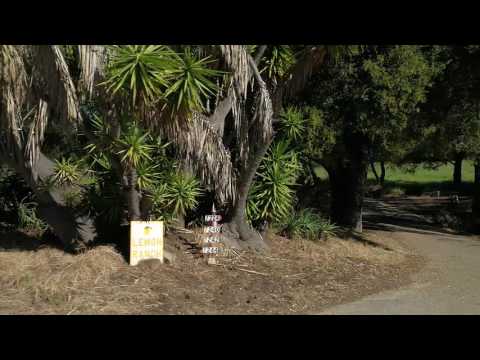 7244 Gobernador Canyon