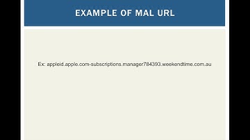 MalURL Detecting Malicious Websites through URLs by Shikhar Sakhuja & Xiaoyue Gong