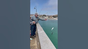 Thumbnail of Cayucos Pier fishing 7/23/2021