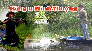 Hành trình săn cá lóc bông khủng hugo tập 2