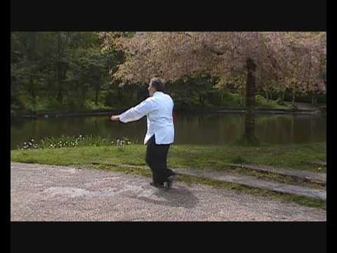 Li Lee Style Tai Chi short