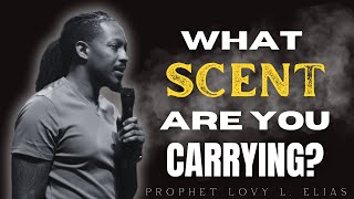 Prophet Lovy - Scent is a Language of the spirit. What is Your Scent Saying?