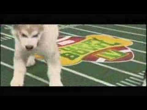 Puppy Bowl IV YouTube