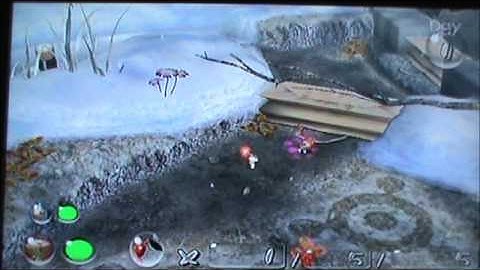 Pikmin 2 Glitch: Softlock on Day 1