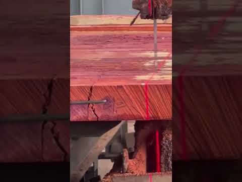 #woodcut #carpentry #cutting #woodcuting #cuttingwood #diy #wood #woodworking #woodwork