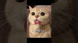 How to speed up your download - Step by Step tutorial