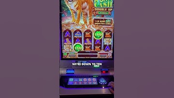 Day 30: Betting $1 Million to WIN $1 Million 🐲 $250/spin for the WIN?! #casino #slots #jackpot