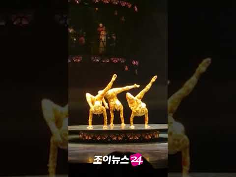 눈을 의심케하는 태양의 서커스 '쿠자' 퍼포먼스