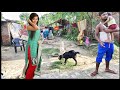 Beautiful indian rural life  raining weather in village simple life  indian real village