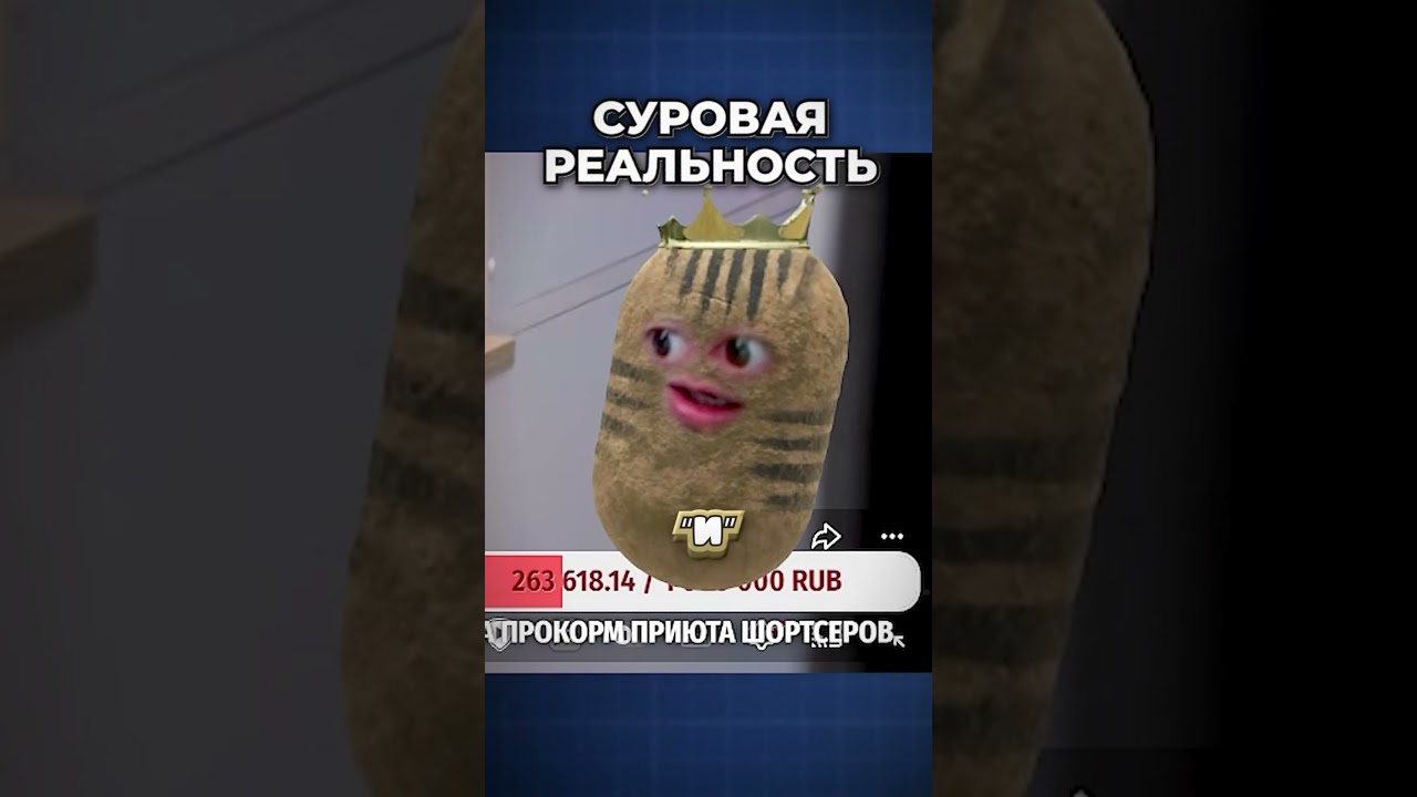 Моменты со стрима #sleduck #twitch #vtuber