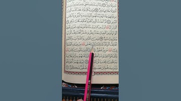 تعليم سورة فاطر من 28 إلى 30