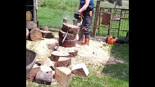 Stihl 881 Wood Monster getting ready to bite       see out take short vid NASTY New toy and all that by Mrs Digwells Watches over ''The Old Fella'' 266 views 5 days ago 10 minutes, 54 seconds
